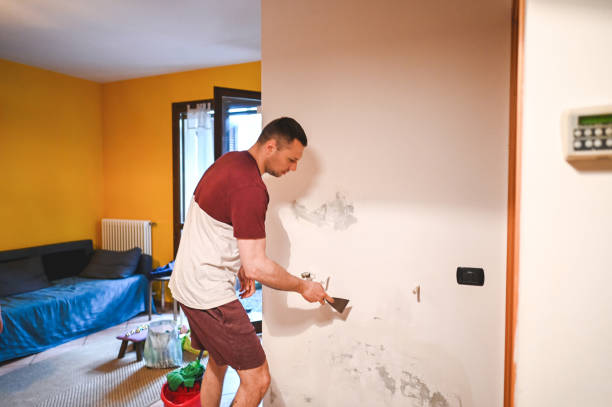 Best Commercial Mold Removal  in Paynesville, MN
